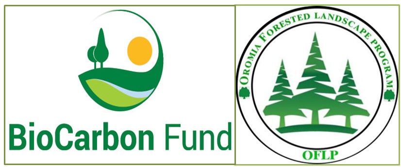 BioCarbon Fund Organizes ERPA Workshop